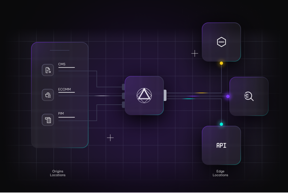 Digital Experience Mesh